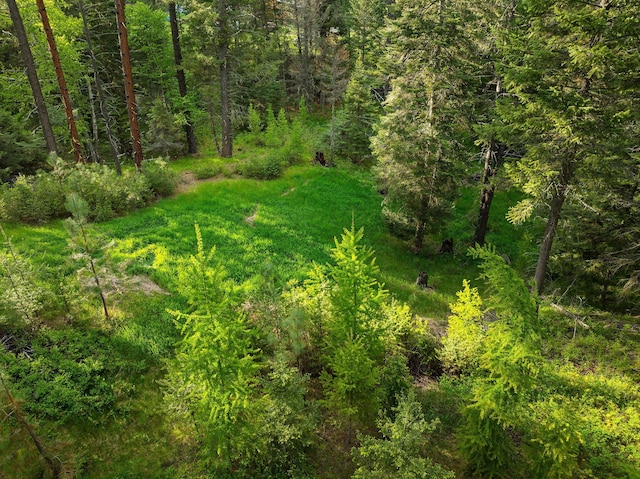 131 Mccaffery Lookout Trl, Bigfork, MT 59911 - view of woods