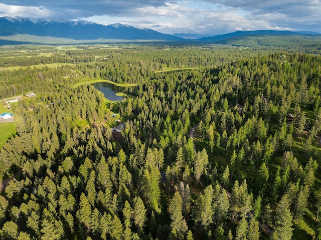 131 Mccaffery Lookout Trl, Bigfork, MT 59911 - bird's eye view of a forest and a water and mountain view