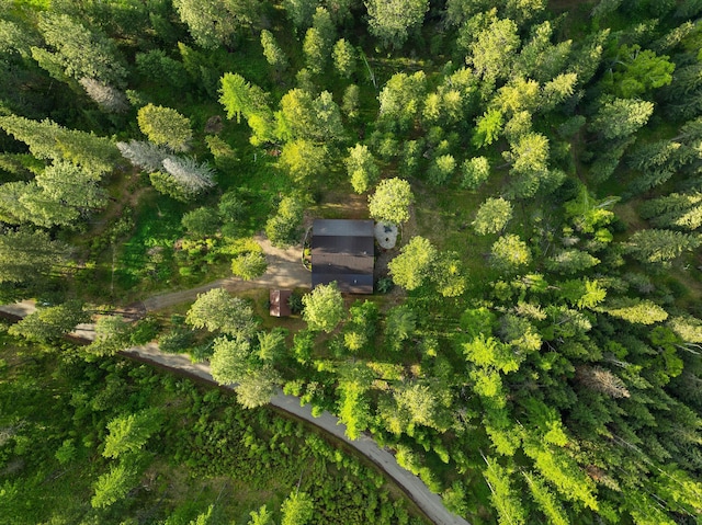 131 Mccaffery Lookout Trl, Bigfork, MT 59911 - aerial view of property's location
