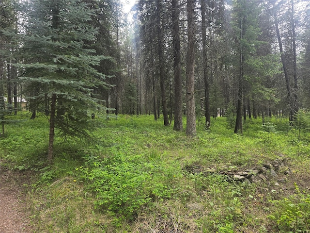 204 Cougar Meadow Dr, Saint Regis, MT 59866 - view of wooded area