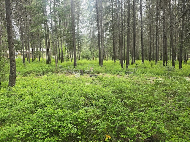 204 Cougar Meadow Dr, Saint Regis, MT 59866 - view of woods