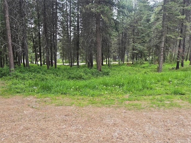 204 Cougar Meadow Dr, Saint Regis, MT 59866 - view of wooded area