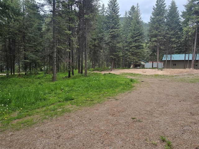 204 Cougar Meadow Dr, Saint Regis, MT 59866 - view of dirt / gravel driveway with a view of trees
