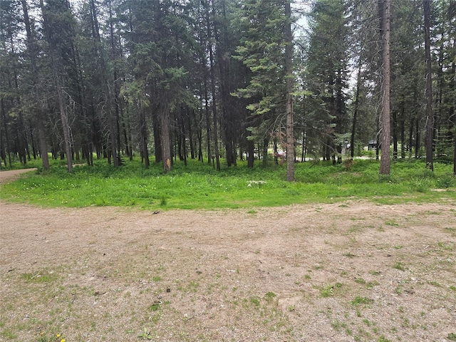 204 Cougar Meadow Dr, Saint Regis, MT 59866 - view of woods