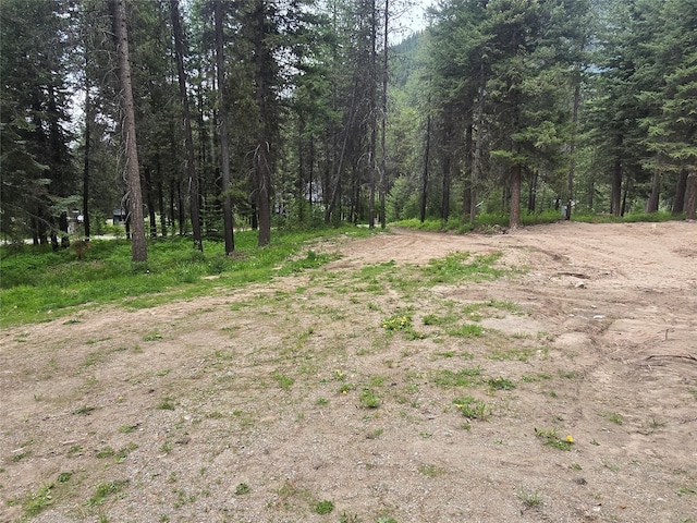 204 Cougar Meadow Dr, Saint Regis, MT 59866 - view of woods