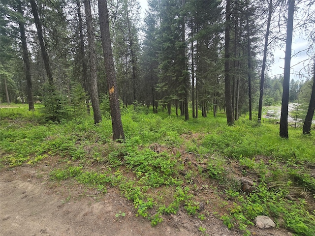 204 Cougar Meadow Dr, Saint Regis, MT 59866 - view of wooded area