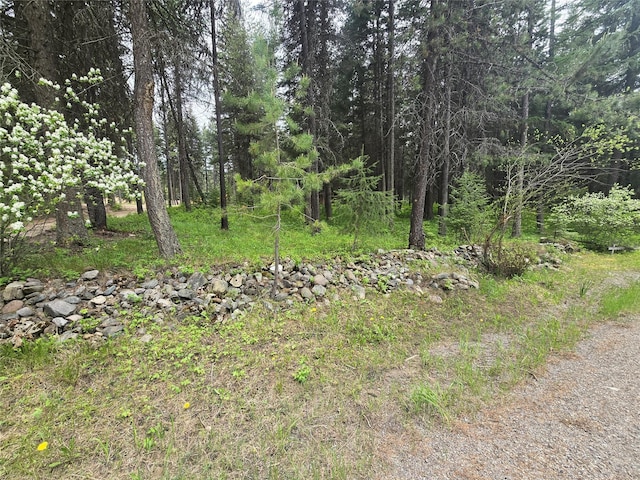 204 Cougar Meadow Dr, Saint Regis, MT 59866 - view of tree filled area