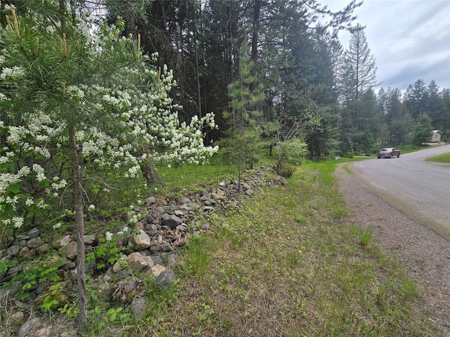 204 Cougar Meadow Dr, Saint Regis, MT 59866 - view of asphalt street featuring a forest view