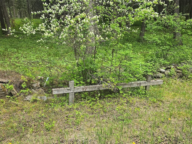 204 Cougar Meadow Dr, Saint Regis, MT 59866 - exterior view of a heavily wooded area