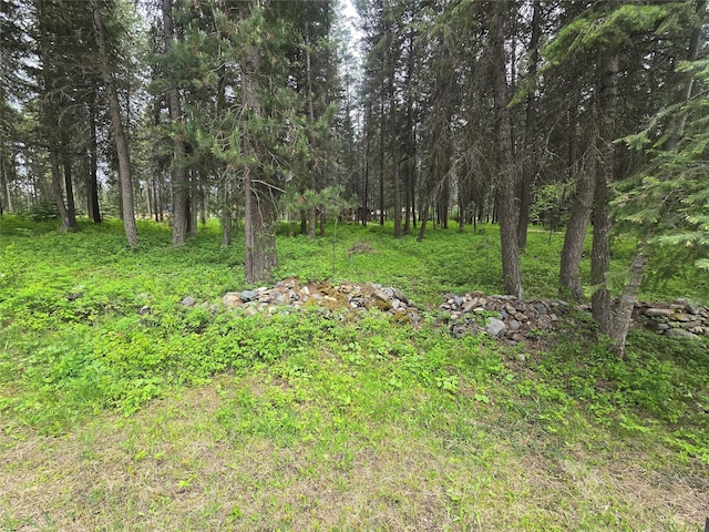 204 Cougar Meadow Dr, Saint Regis, MT 59866 - view of yard with a forest view