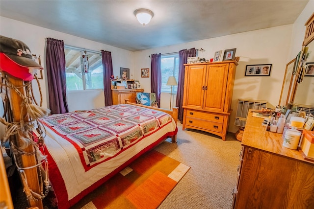 34 Outlaw Trl, Anaconda, MT 59711 - bedroom featuring light colored carpet and multiple windows