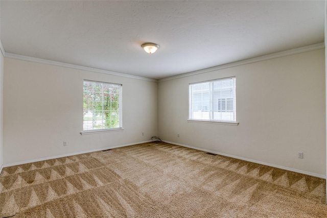 115 River Glen Ct, Kalispell, MT 59901 - empty room with carpet, ornamental molding, and baseboards