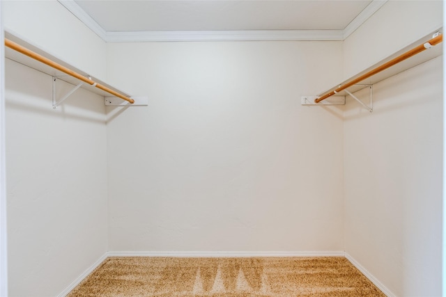 115 River Glen Ct, Kalispell, MT 59901 - spacious closet featuring carpet floors