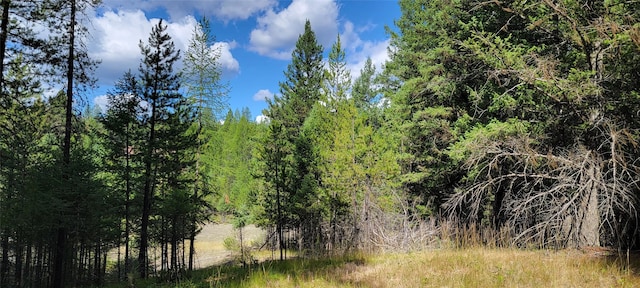 1280 Rogers Lake Rd, Kila, MT 59920