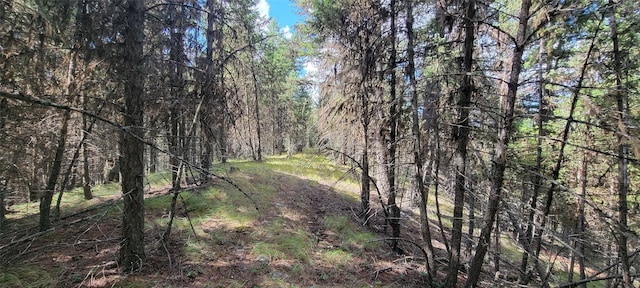 1280 Rogers Lake Rd, Kila, MT 59920