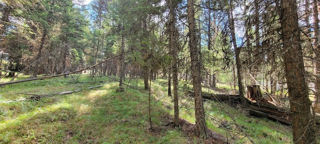 1280 Rogers Lake Rd, Kila, MT 59920
