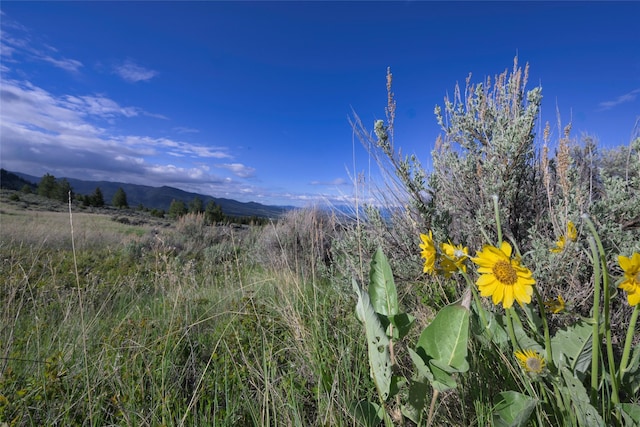 LotD Soft Rock Road, Corvallis, MT 59828
