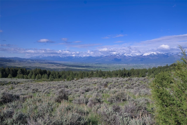 LotD Soft Rock Road, Corvallis, MT 59828