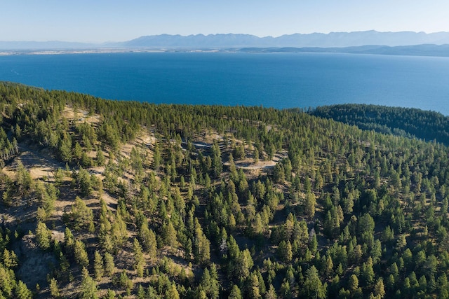 168 Angel Point Preserve, Lakeside, MT 59922