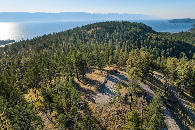 168 Angel Point Preserve, Lakeside, MT 59922