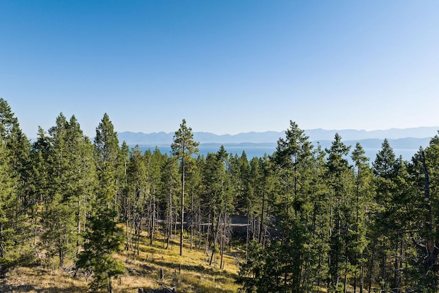 168 Angel Point Preserve, Lakeside, MT 59922