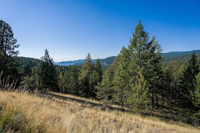 168 Angel Point Preserve, Lakeside, MT 59922