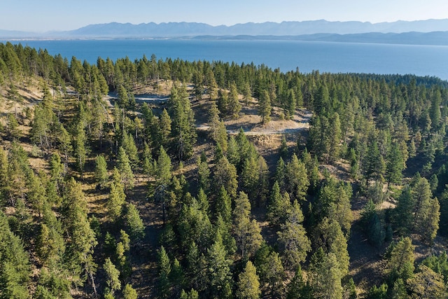 168 Angel Point Preserve, Lakeside, MT 59922