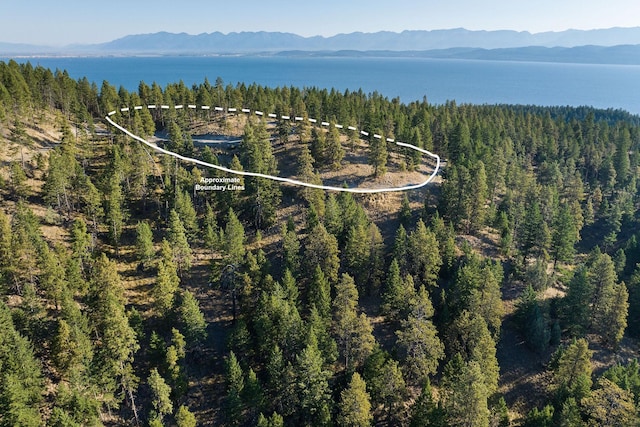 168 Angel Point Preserve, Lakeside, MT 59922