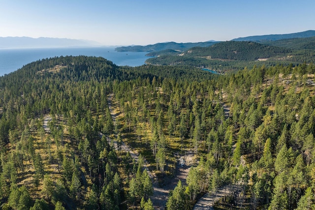 168 Angel Point Preserve, Lakeside, MT 59922