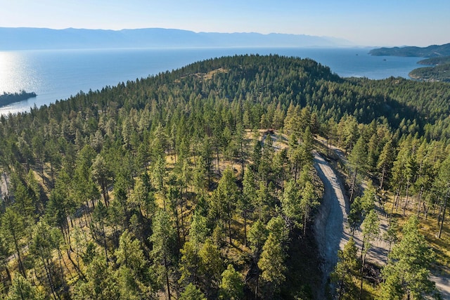 168 Angel Point Preserve, Lakeside, MT 59922