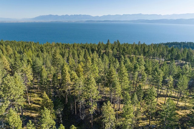 168 Angel Point Preserve, Lakeside, MT 59922