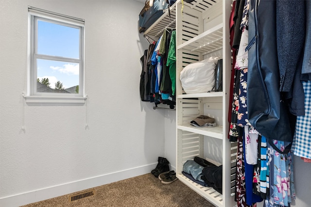 11515 Ninebark Way, Missoula, MT 59802 - walk in closet with carpet flooring
