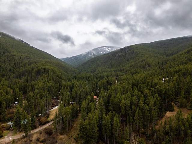 612 S Main St, Neihart, MT 59465 - view of mountain backdrop with a forest