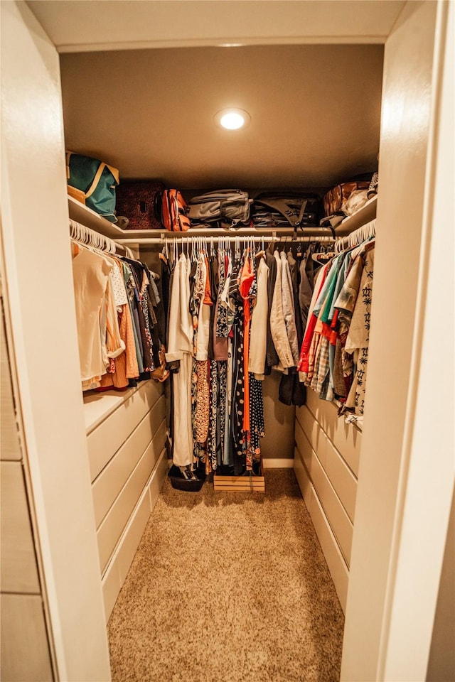 1610 Maple Dr, Fort Benton, MT 59442 - walk in closet featuring carpet