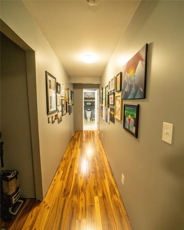 1610 Maple Dr, Fort Benton, MT 59442 - corridor with light wood finished floors