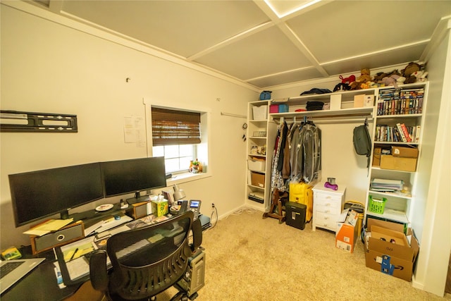 1610 Maple Dr, Fort Benton, MT 59442 - view of carpeted office space