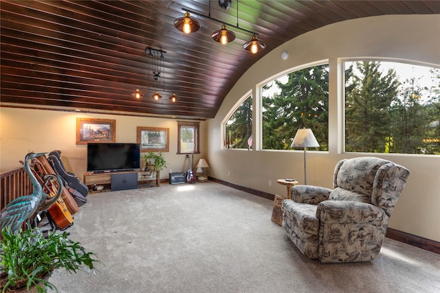 46274 Meadowlark Ln, Big Arm, MT 59910 - living area featuring vaulted ceiling, carpet floors, and baseboards