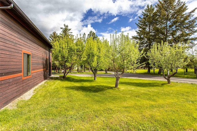46274 Meadowlark Ln, Big Arm, MT 59910 - view of grassy yard
