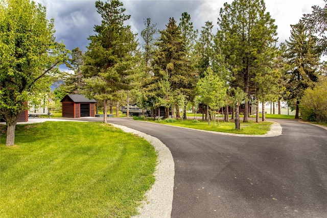 46274 Meadowlark Ln, Big Arm, MT 59910 - view of street