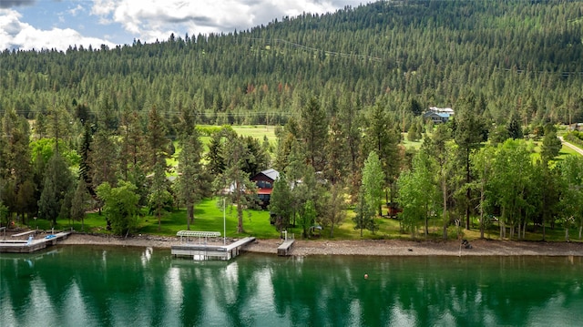 46274 Meadowlark Ln, Big Arm, MT 59910 - bird's eye view of a forest and a water and mountain view