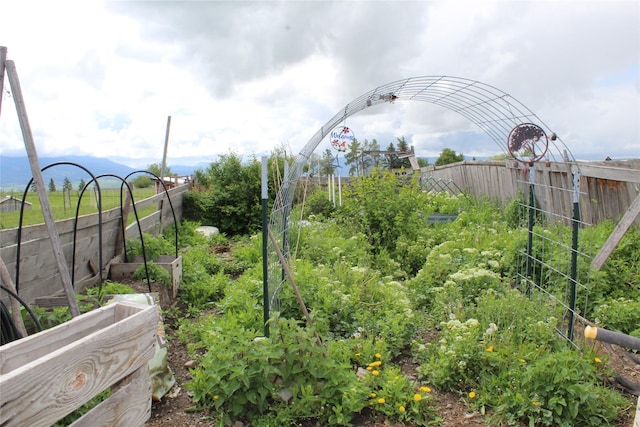 34575 Gunlock Rd, Charlo, MT 59824 - view of yard with a garden