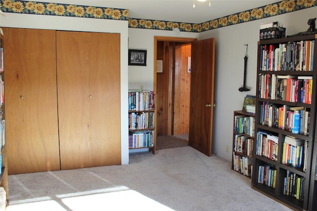 34575 Gunlock Rd, Charlo, MT 59824 - bedroom with carpet floors and a closet