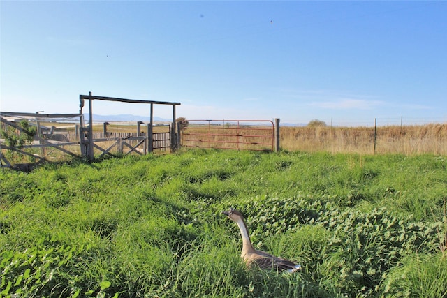 34575 Gunlock Rd, Charlo, MT 59824 - view of yard featuring a view of rural / pastoral area