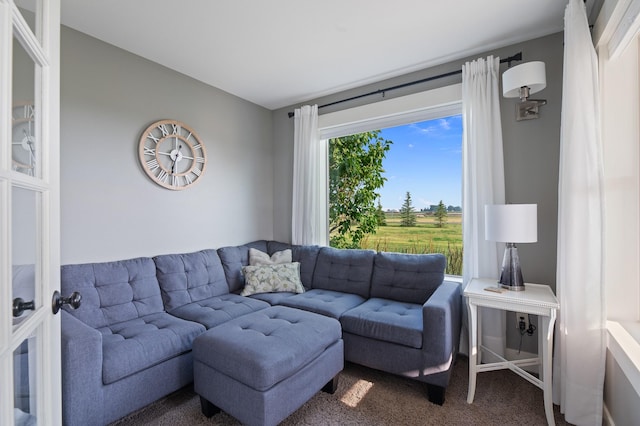 1221 Majestic View Ln, Kalispell, MT 59901 - living area with dark colored carpet and vaulted ceiling