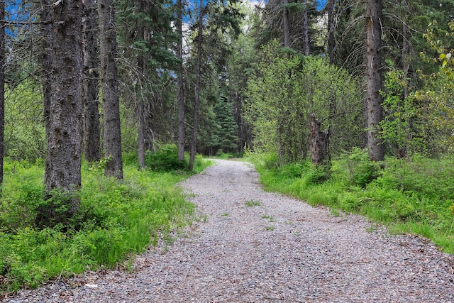 22585 Fatty Creek Rd, Bigfork, MT 59911