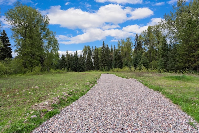 22585 Fatty Creek Rd, Bigfork, MT 59911