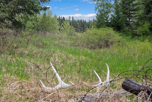 22585 Fatty Creek Rd, Bigfork, MT 59911