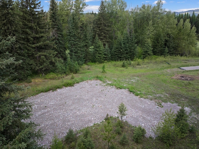 22585 Fatty Creek Rd, Bigfork, MT 59911