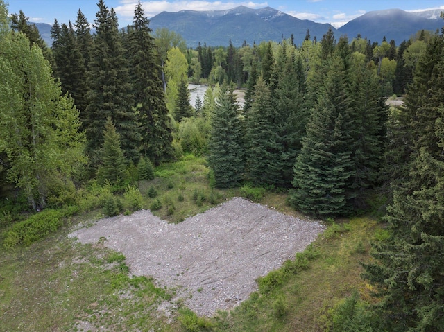 22585 Fatty Creek Rd, Bigfork, MT 59911