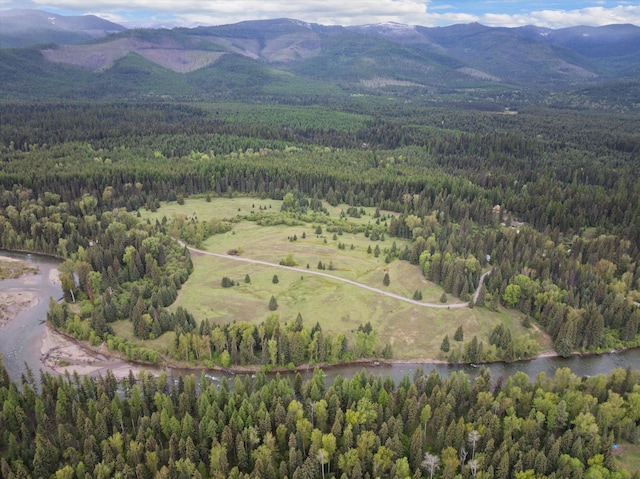 22585 Fatty Creek Rd, Bigfork, MT 59911
